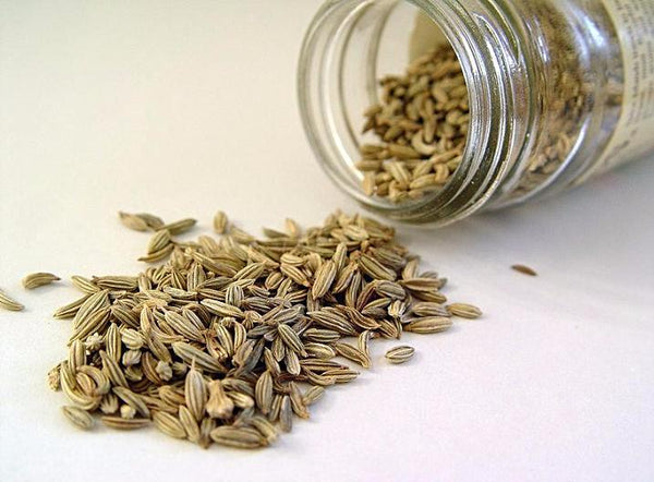 FENNEL SEEDS