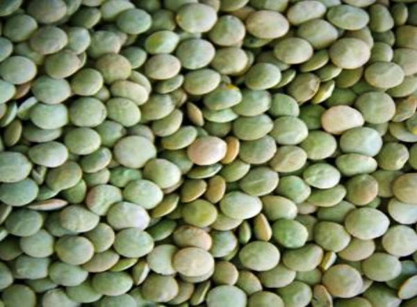 GREEN AMERICAN LENTILS