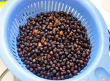 KALA CHANNA